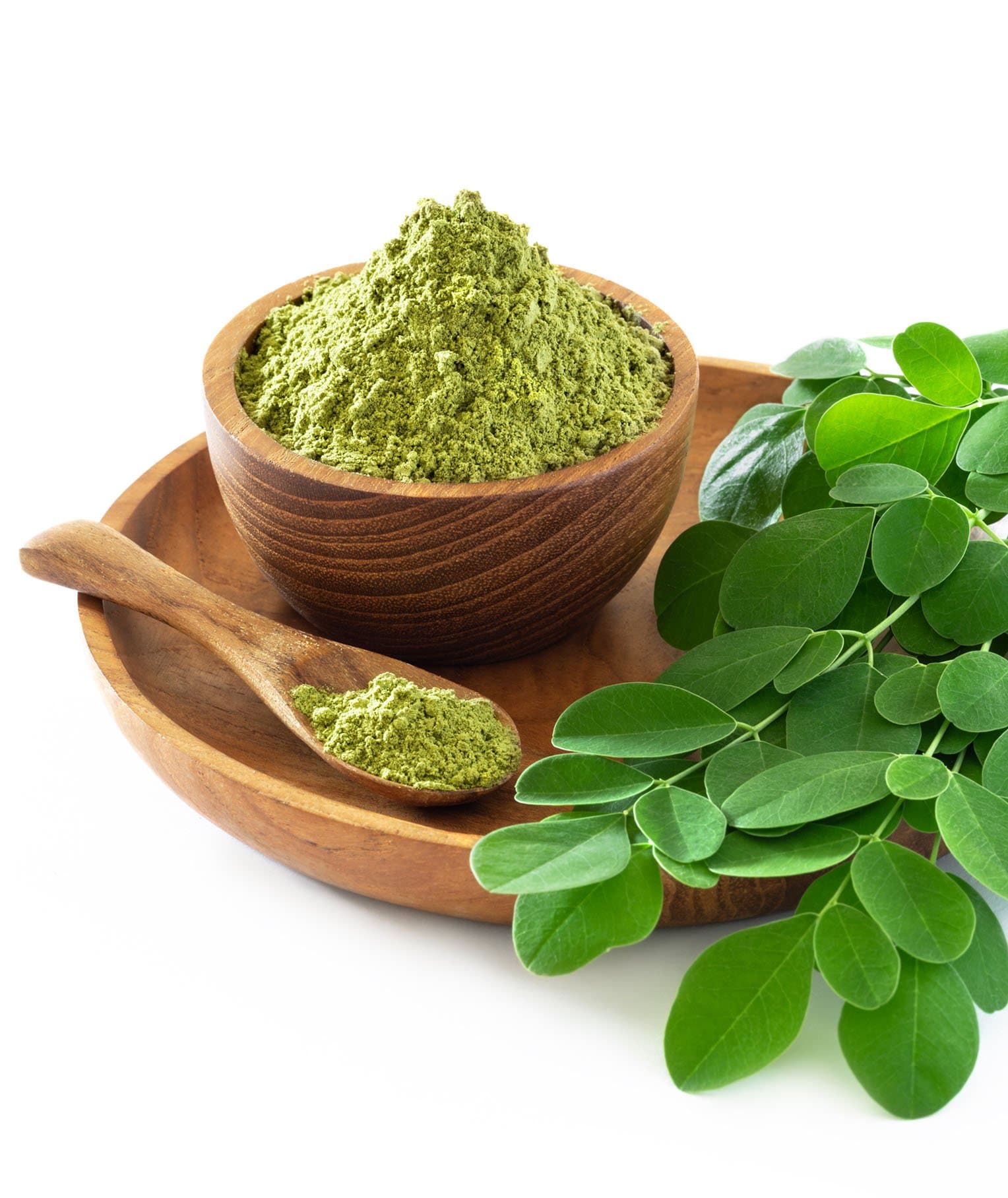 Herbs & Leaves from India — premium quality for global export