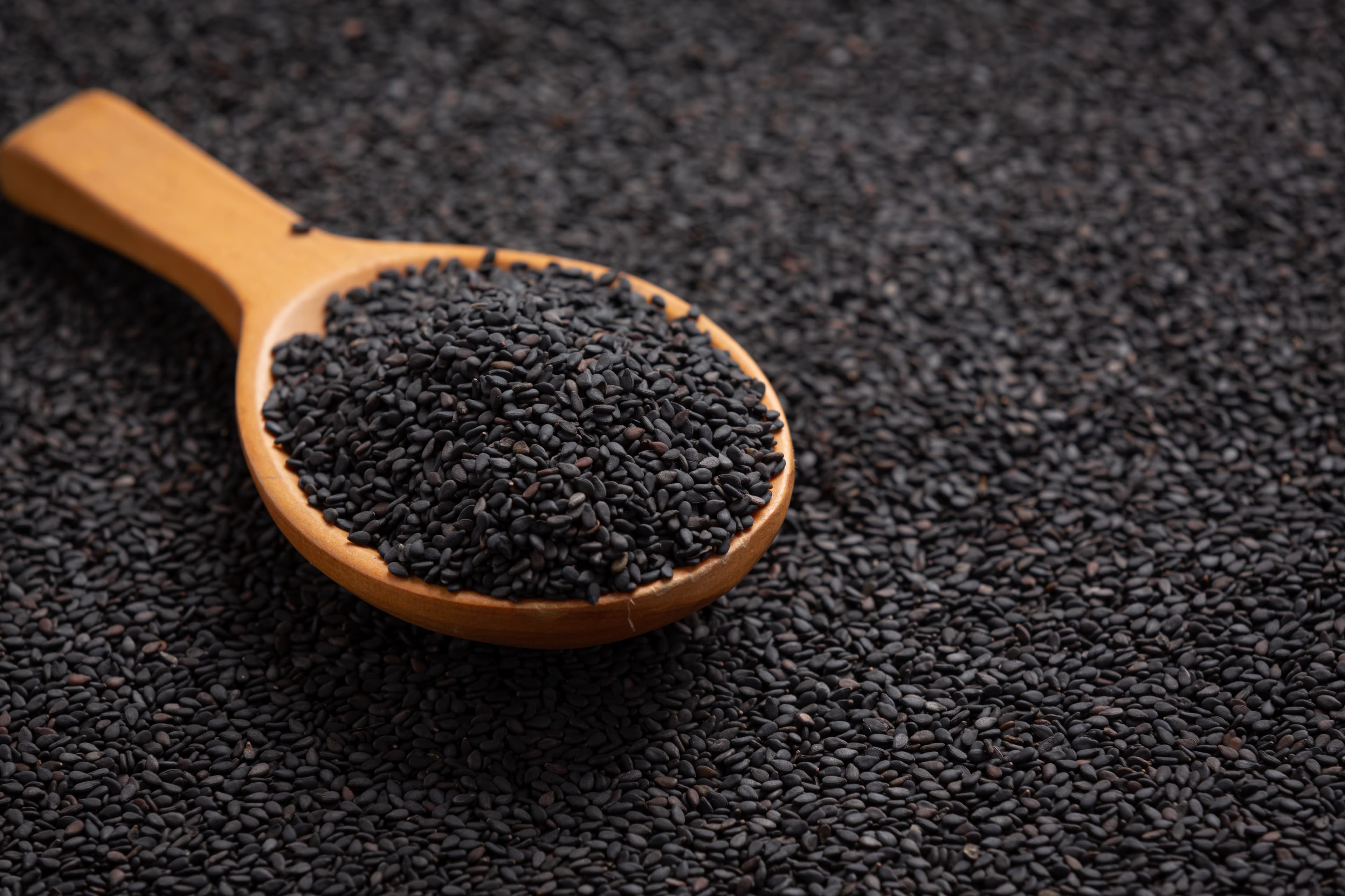 Black Cumin Seeds from India — Premium grade for export