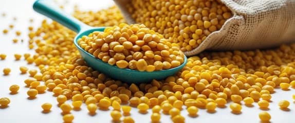 Chana Dal from India — Premium grade for export
