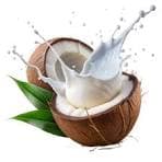 Fresh Coconut from India — Fresh grade for export