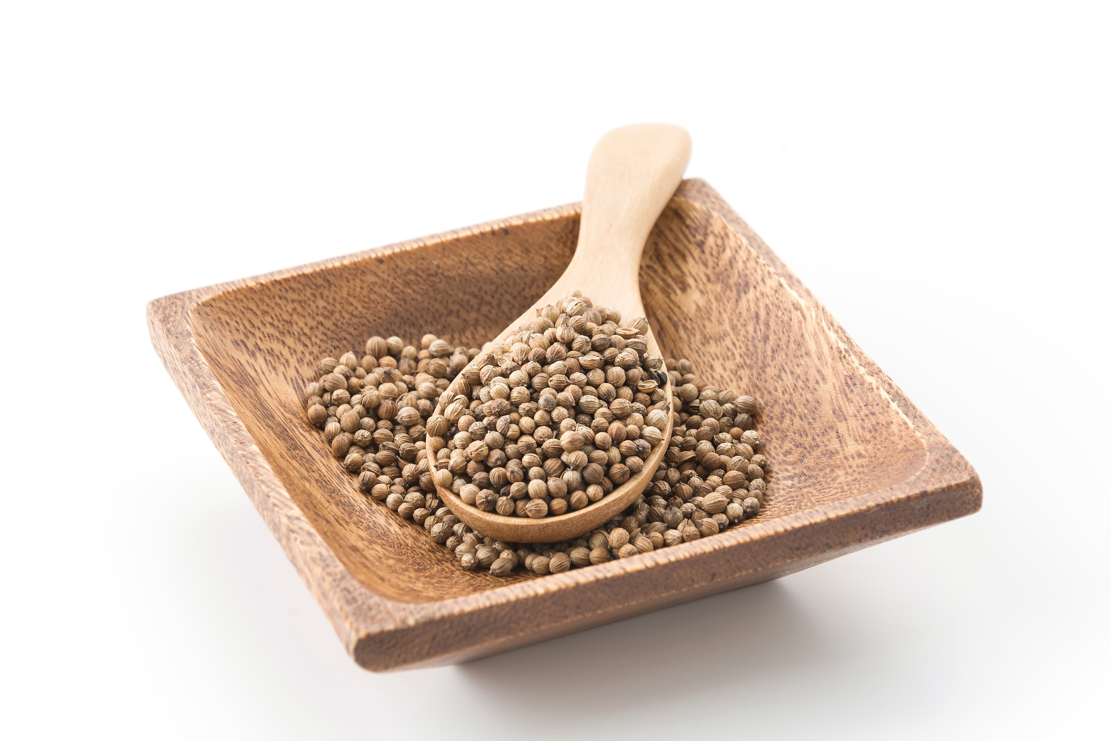 Coriander Seeds from India — Premium grade for export